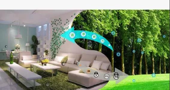 1540882100845660.jpg 微信圖片_20181030143136.jpg