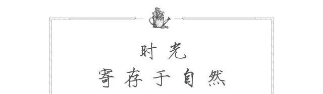 1557990052220494.jpg 微信圖片_20190516145858.jpg